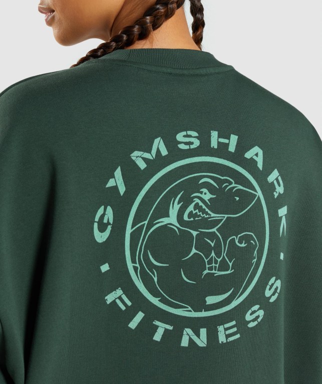 Pullover Gymshark Legacy Graphic Sweatshirt Verde Oscuro | 4xs1C6JdqVi