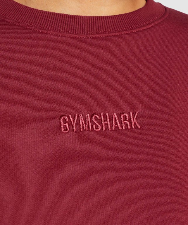 Pullover Gymshark Pulse Burdeos | zAmvC16dsDm