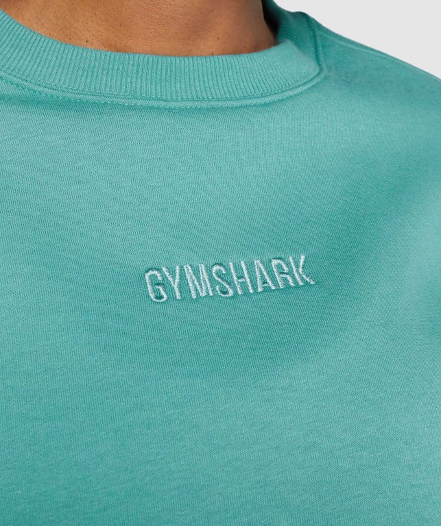 Pullover Gymshark Pulse Turquesa | iYcuSBpALQ2