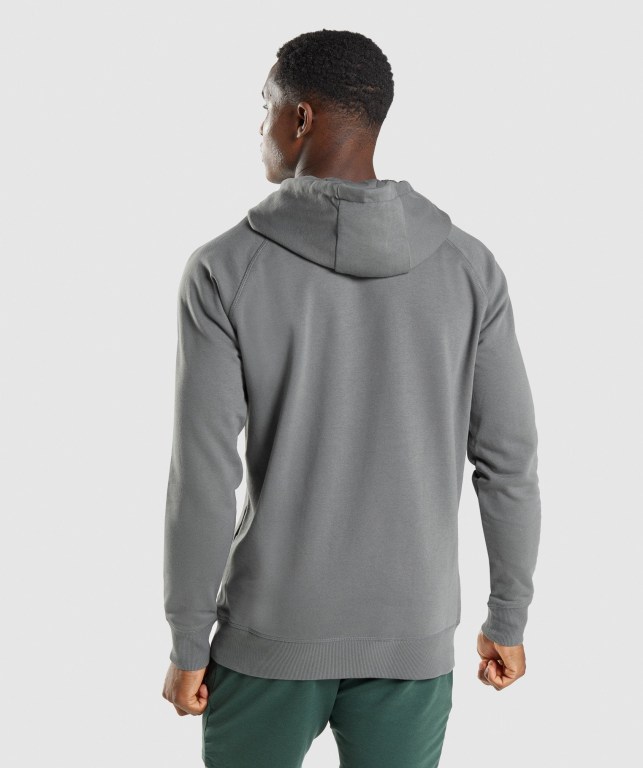 Pullover Gymshark Sharkhead Infill Gris | 3RlQId2XjpP