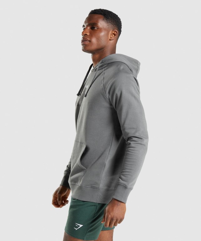 Pullover Gymshark Sharkhead Infill Gris | 3RlQId2XjpP