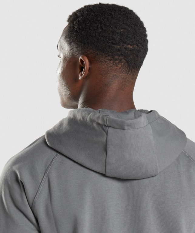 Pullover Gymshark Sharkhead Infill Gris | 3RlQId2XjpP