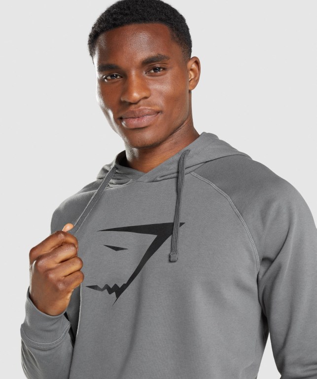 Pullover Gymshark Sharkhead Infill Gris | 3RlQId2XjpP