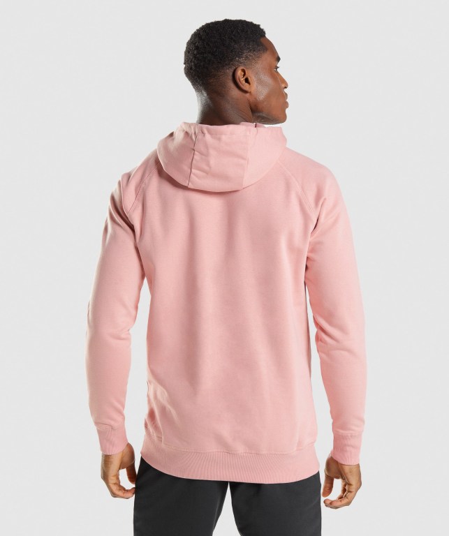 Pullover Gymshark Sharkhead Infill Rosas | ungKn4R7RQ4