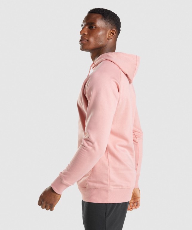 Pullover Gymshark Sharkhead Infill Rosas | ungKn4R7RQ4