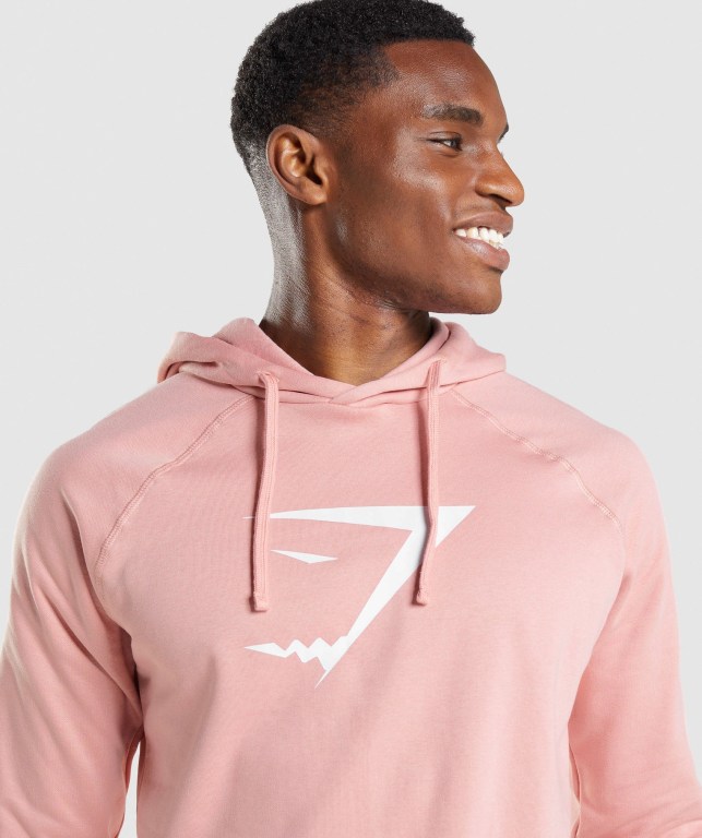 Pullover Gymshark Sharkhead Infill Rosas | ungKn4R7RQ4