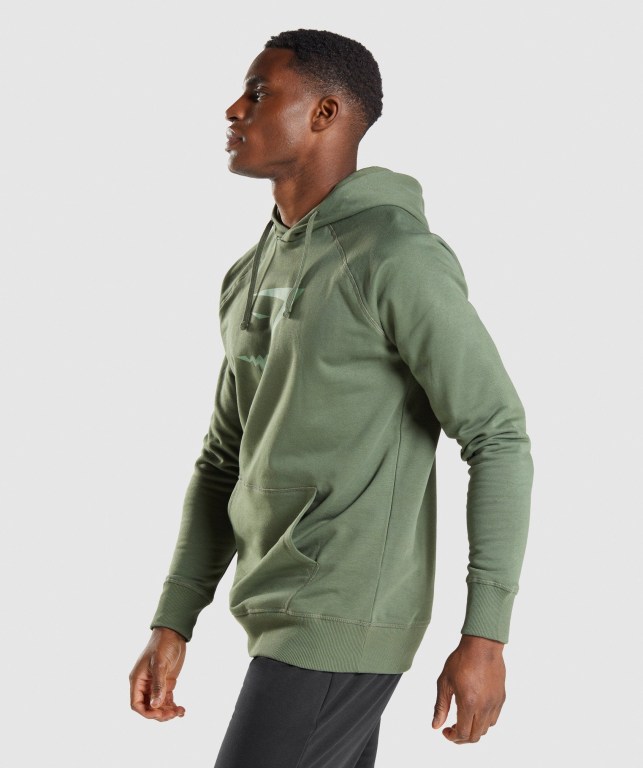 Pullover Gymshark Sharkhead Infill Verde | kw9XqWNSI8m