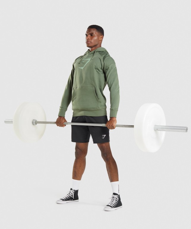 Pullover Gymshark Sharkhead Infill Verde | kw9XqWNSI8m