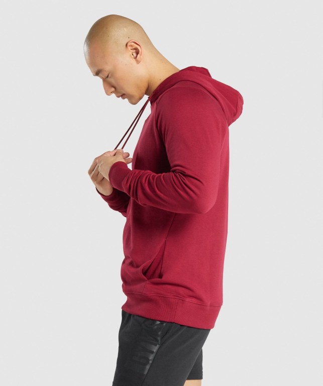 Sudadera Con Capucha Gymshark Bold Burdeos | yqkApvZXmc5