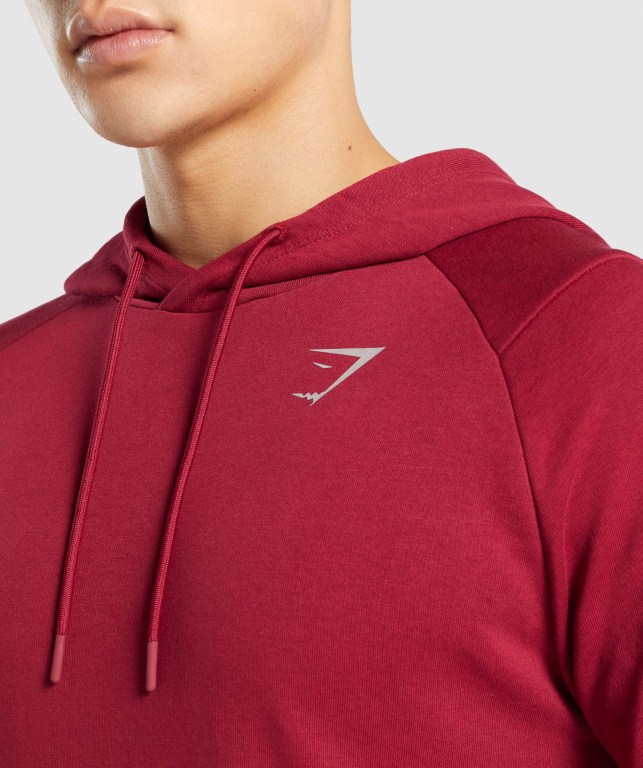 Sudadera Con Capucha Gymshark Bold Burdeos | yqkApvZXmc5