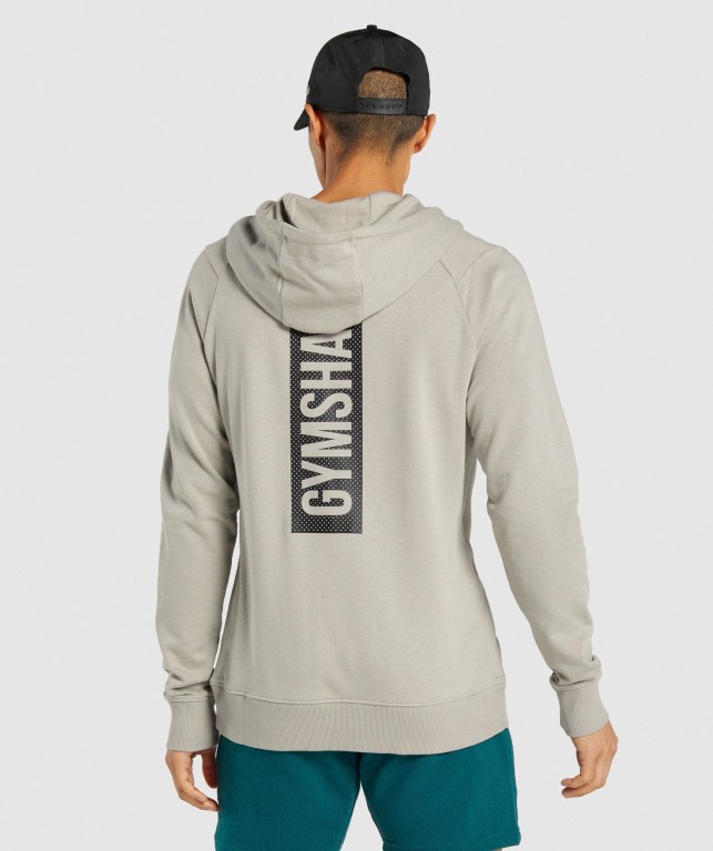 Sudadera Con Capucha Gymshark Bold Gris | hQGEz63Is4M