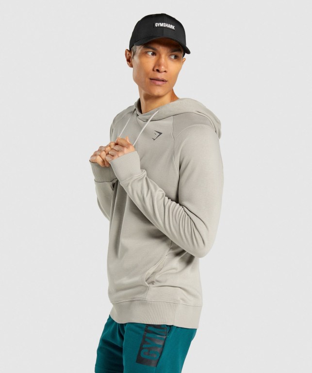 Sudadera Con Capucha Gymshark Bold Gris | hQGEz63Is4M