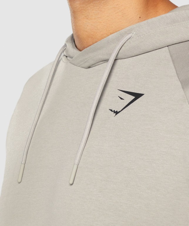 Sudadera Con Capucha Gymshark Bold Gris | hQGEz63Is4M