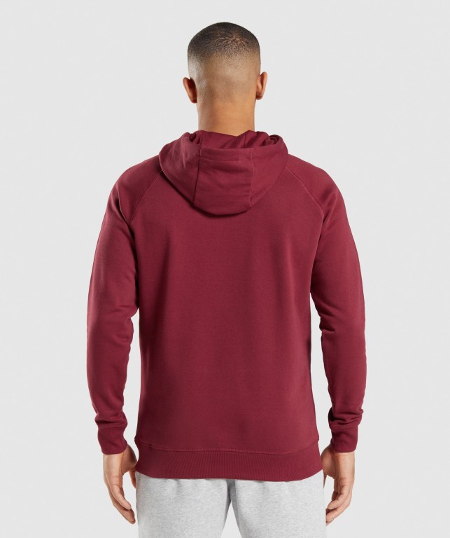 Sudadera Con Capucha Gymshark Crest Burdeos Rojas | 2FFJaH5iEU8