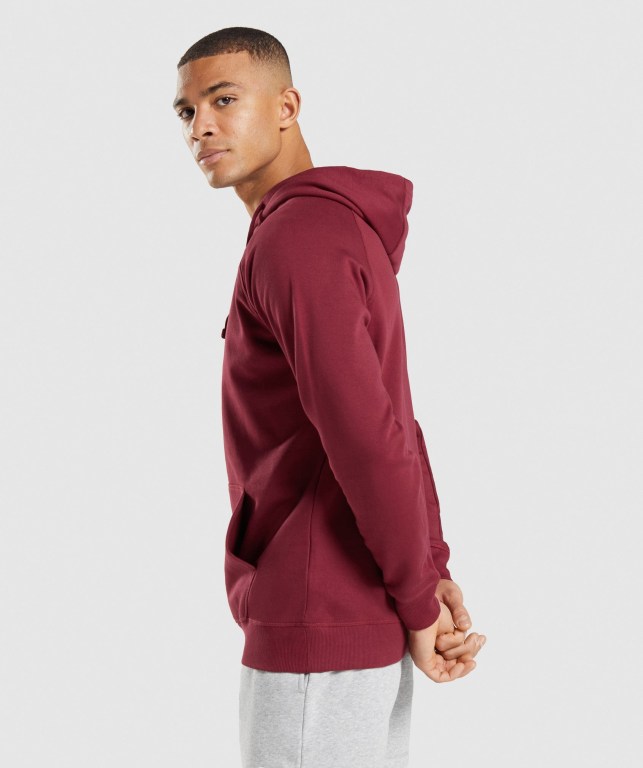 Sudadera Con Capucha Gymshark Crest Burdeos Rojas | 2FFJaH5iEU8