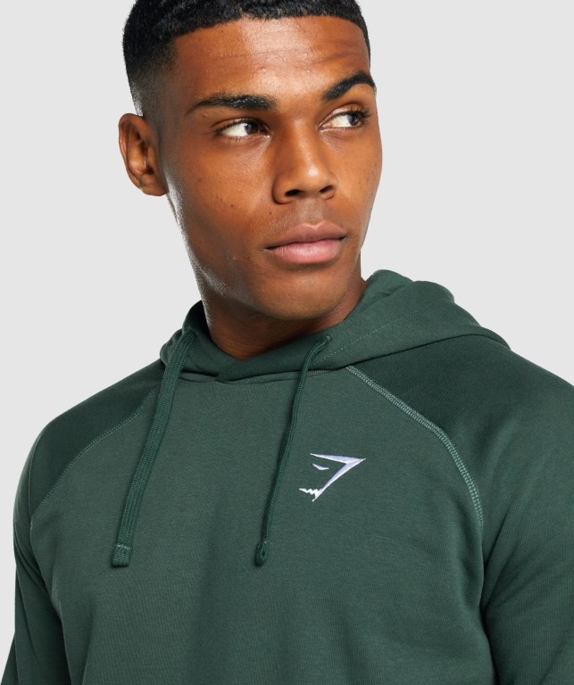 Sudadera Con Capucha Gymshark Crest Verde Oscuro | g72lphAOtGz