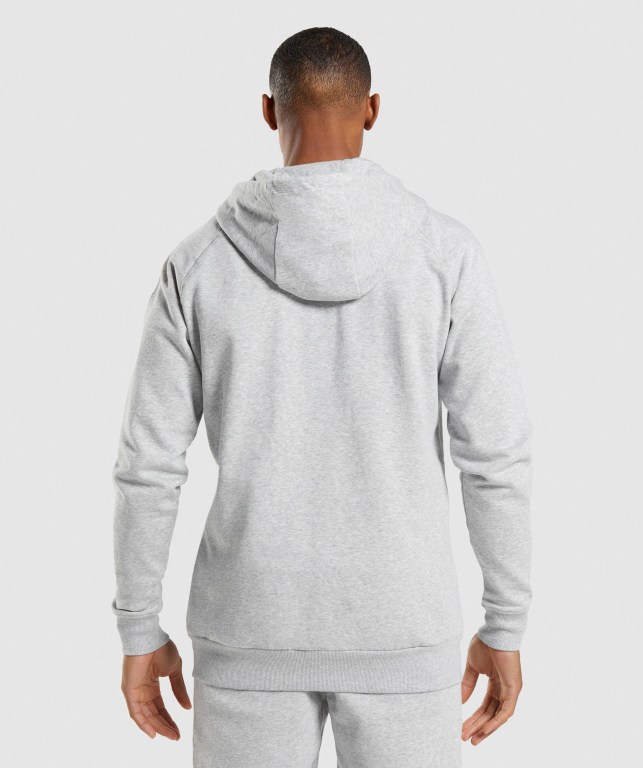 Sudadera Con Capucha Gymshark Crest Zip Up Gris Claro | 9Bzz9BkxPpf