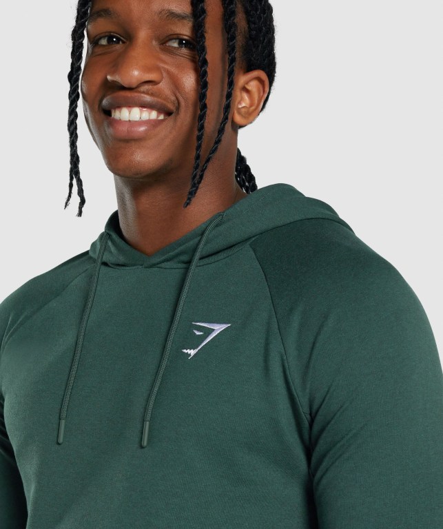 Sudadera Con Capucha Gymshark Critical 2.0 Verde Oscuro | B98LsJyHuWB