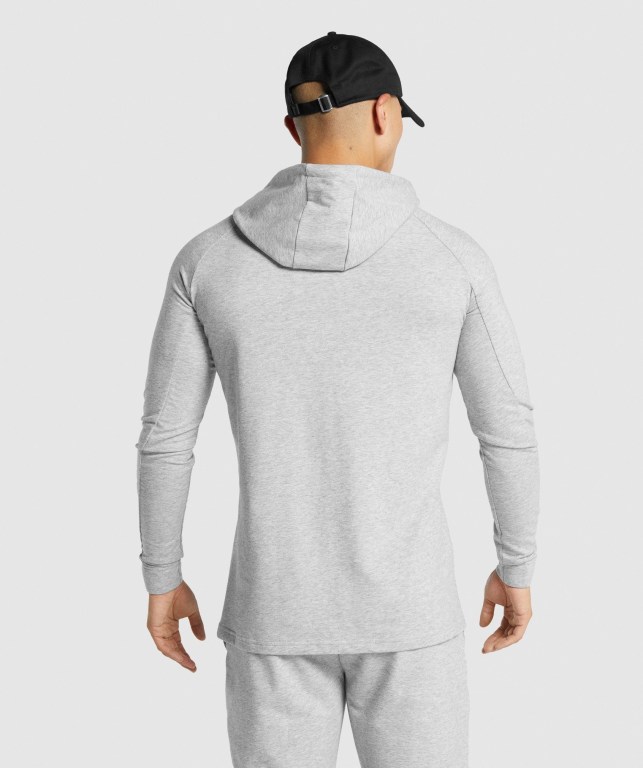 Sudadera Con Capucha Gymshark Critical 2.0 Gris Claro | YitDbaEUKSr