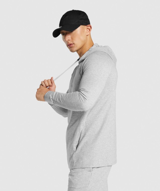 Sudadera Con Capucha Gymshark Critical 2.0 Gris Claro | YitDbaEUKSr