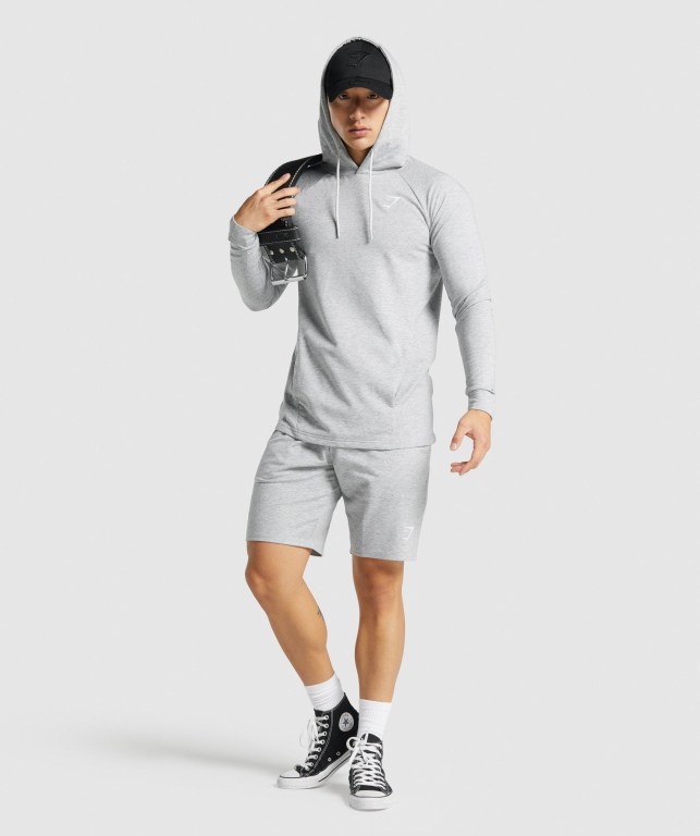 Sudadera Con Capucha Gymshark Critical 2.0 Gris Claro | YitDbaEUKSr