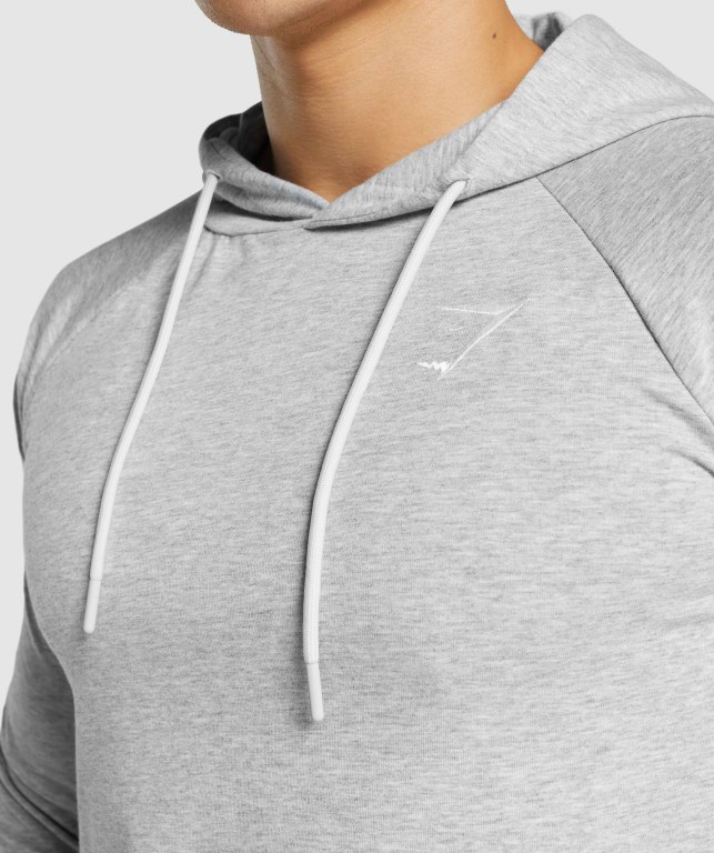 Sudadera Con Capucha Gymshark Critical 2.0 Gris Claro | YitDbaEUKSr