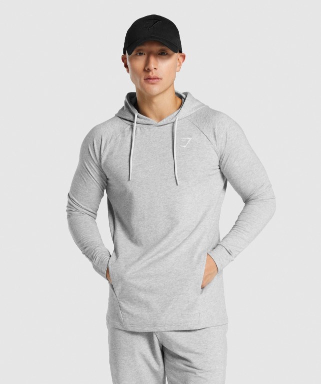 Sudadera Con Capucha Gymshark Critical 2.0 Gris Claro | YitDbaEUKSr