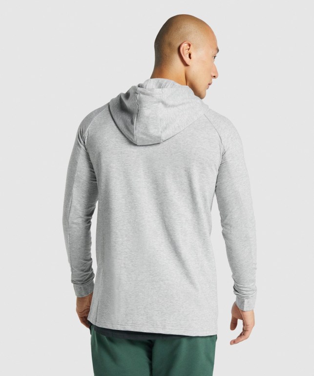 Sudadera Con Capucha Gymshark Critical 2.0 Zip Up Gris Claro | a4bg3GoWnsX