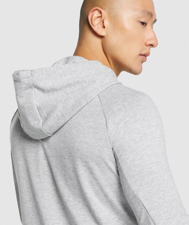 Sudadera Con Capucha Gymshark Critical 2.0 Zip Up Gris Claro | a4bg3GoWnsX