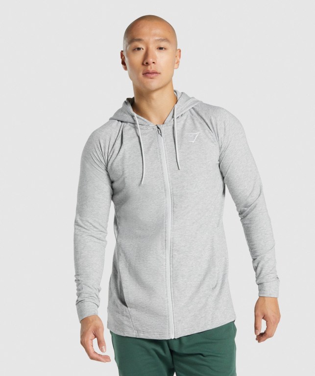 Sudadera Con Capucha Gymshark Critical 2.0 Zip Up Gris Claro | a4bg3GoWnsX