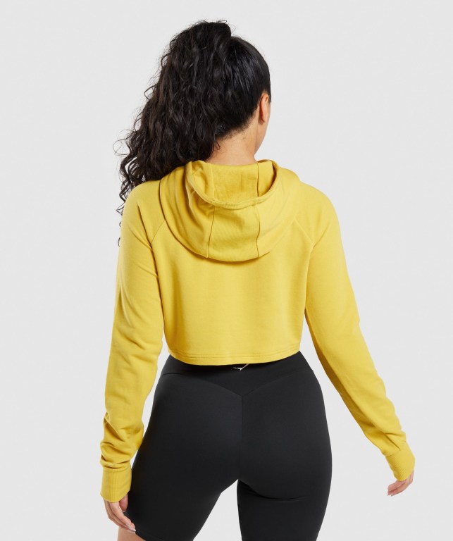 Sudadera Con Capucha Gymshark Entrenamiento Cropped Amarillo | 4OhVg7Ok9m3