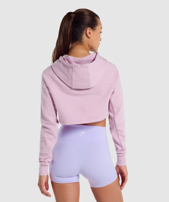 Sudadera Con Capucha Gymshark Entrenamiento Cropped Rosas Claro | AnskKfCHdHk