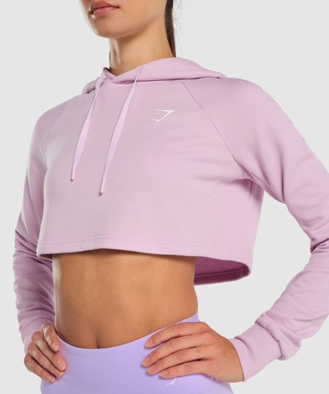 Sudadera Con Capucha Gymshark Entrenamiento Cropped Rosas Claro | AnskKfCHdHk