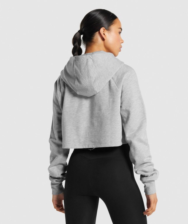 Sudadera Con Capucha Gymshark Entrenamiento Cropped Gris Claro | Dv1Hv8IUvnq