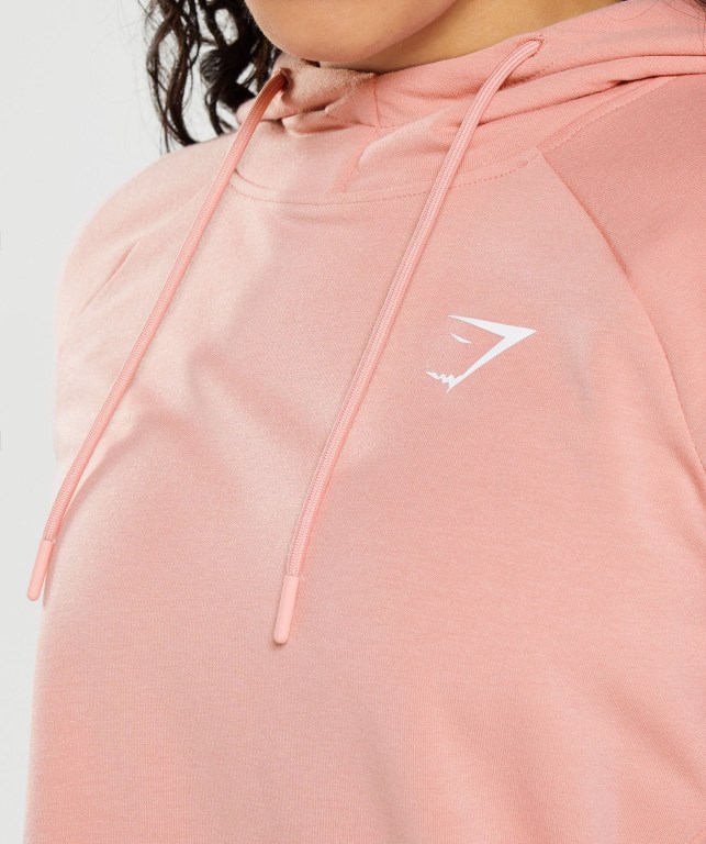 Sudadera Con Capucha Gymshark Entrenamiento Rosas | ICYaHrysIHv