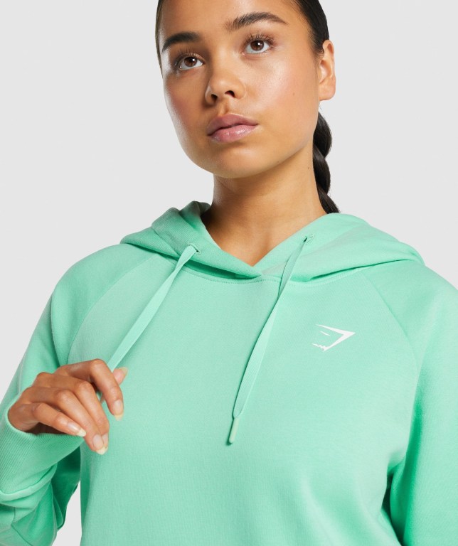 Sudadera Con Capucha Gymshark Entrenamiento Verde Claro | UGPqim9P9ZR