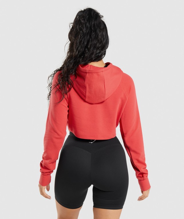 Sudadera Con Capucha Gymshark Entrenamiento Cropped Rojas | iugfGoDWTlj