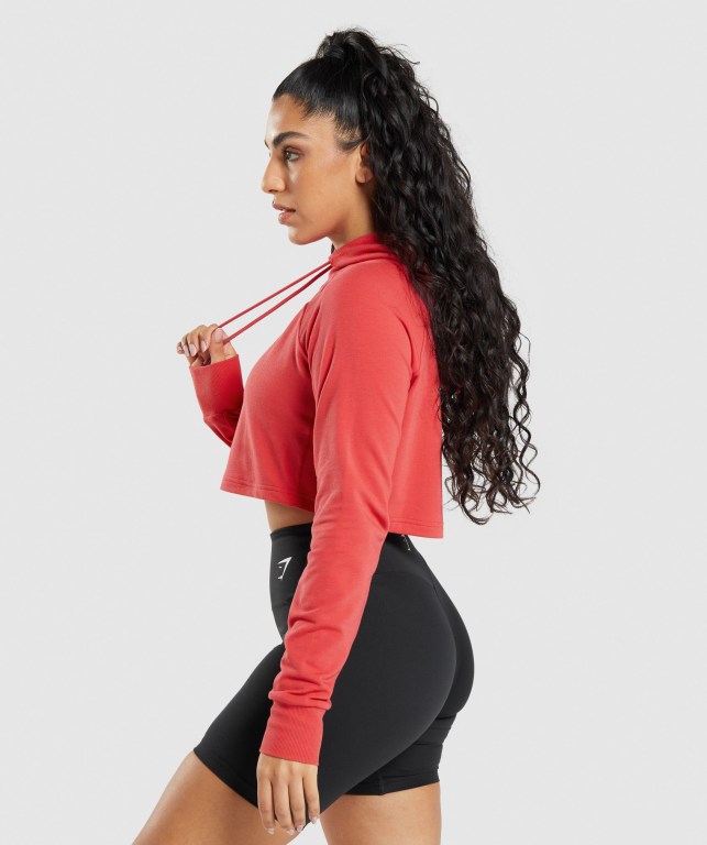 Sudadera Con Capucha Gymshark Entrenamiento Cropped Rojas | iugfGoDWTlj