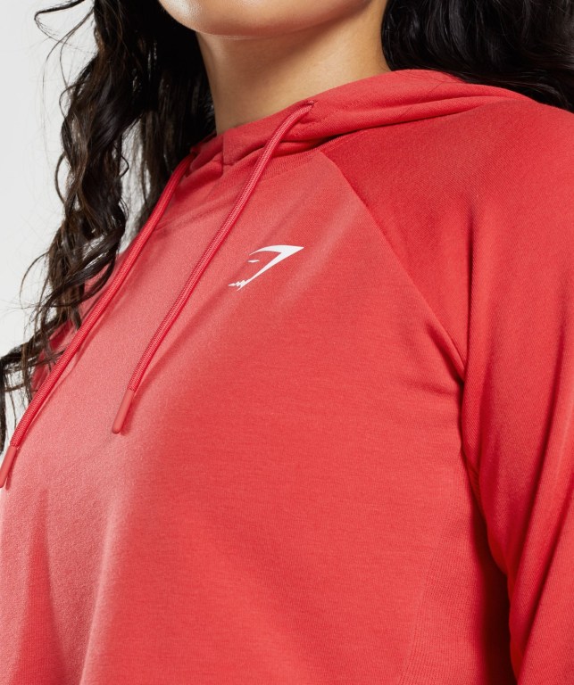 Sudadera Con Capucha Gymshark Entrenamiento Cropped Rojas | iugfGoDWTlj