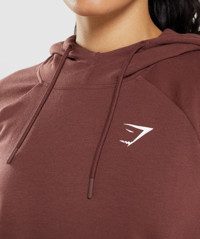 Sudadera Con Capucha Gymshark Entrenamiento Rosas Marrones | lJnVTuK4qQA