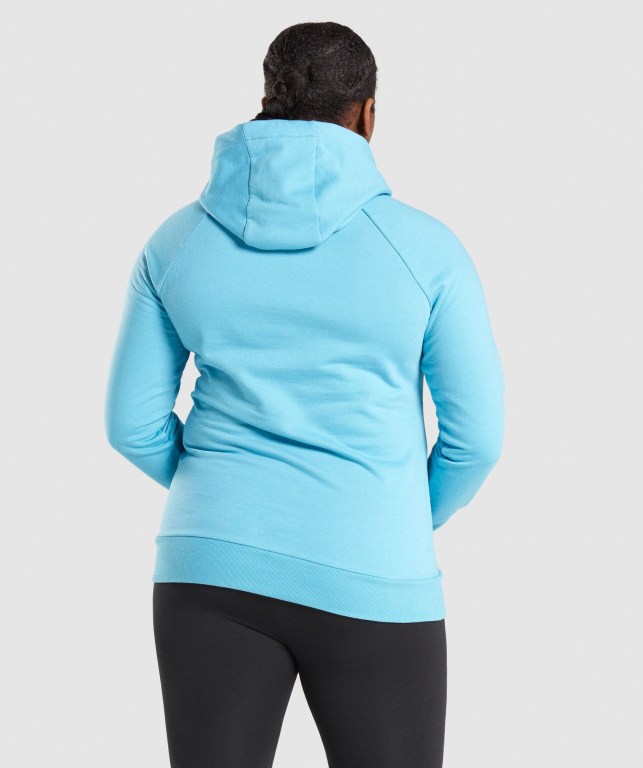 Sudadera Con Capucha Gymshark Entrenamiento Azules Claro | o4GjWWO5R3J