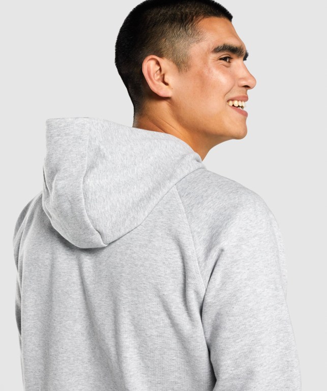 Sudadera Con Capucha Gymshark GSLC Collegiate Gris Claro | DxfqzpVKrxG