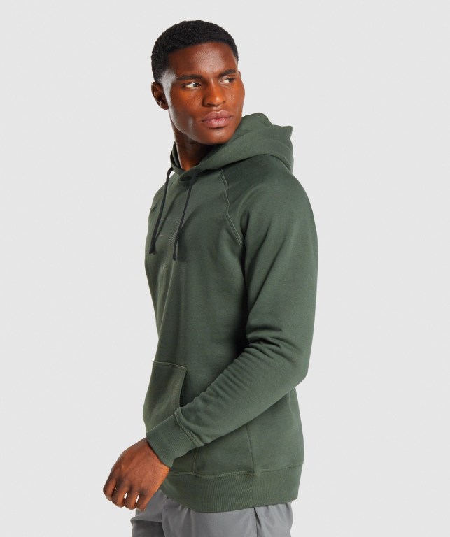 Sudadera Con Capucha Gymshark Sharkhead Infill Verde Oscuro | DHwqTjXvSNj