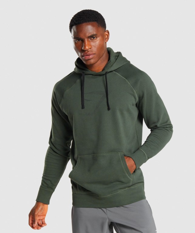 Sudadera Con Capucha Gymshark Sharkhead Infill Verde Oscuro | DHwqTjXvSNj