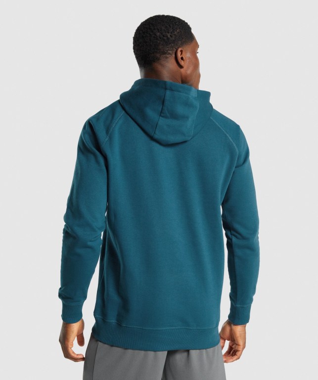 Sudadera Con Capucha Gymshark Sharkhead Infill Turquesa | TTfTedGtSQu