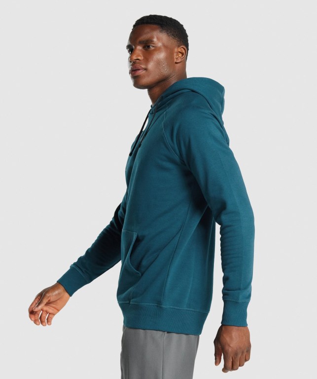 Sudadera Con Capucha Gymshark Sharkhead Infill Turquesa | TTfTedGtSQu