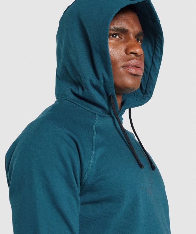 Sudadera Con Capucha Gymshark Sharkhead Infill Turquesa | TTfTedGtSQu