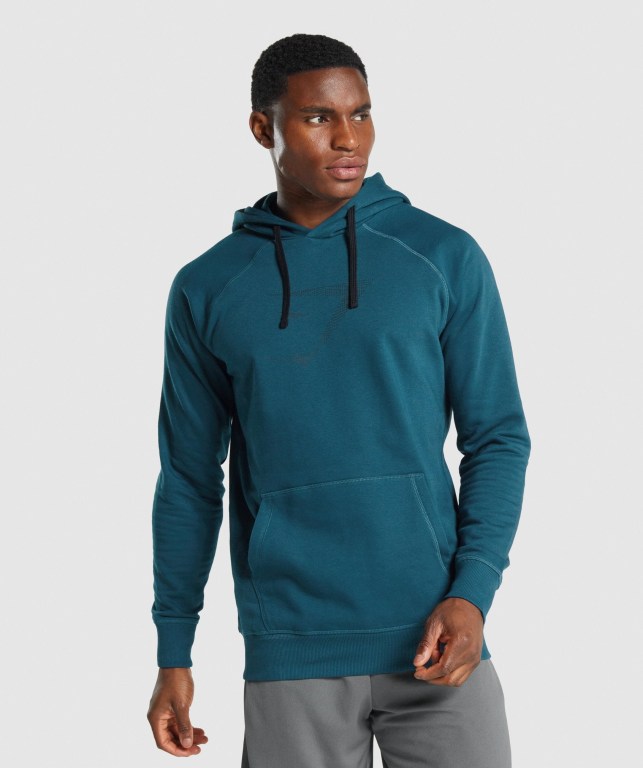 Sudadera Con Capucha Gymshark Sharkhead Infill Turquesa | TTfTedGtSQu