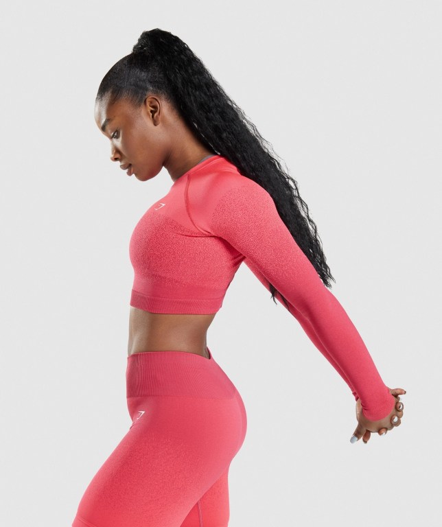 Sudaderas Gymshark Adapt Ombre Seamless Crop Top Rosas Rojas | 74t4Ci9fBA7