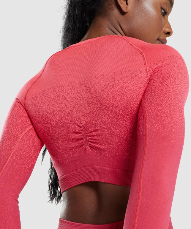 Sudaderas Gymshark Adapt Ombre Seamless Crop Top Rosas Rojas | 74t4Ci9fBA7